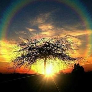 Meet your Posher, Faye